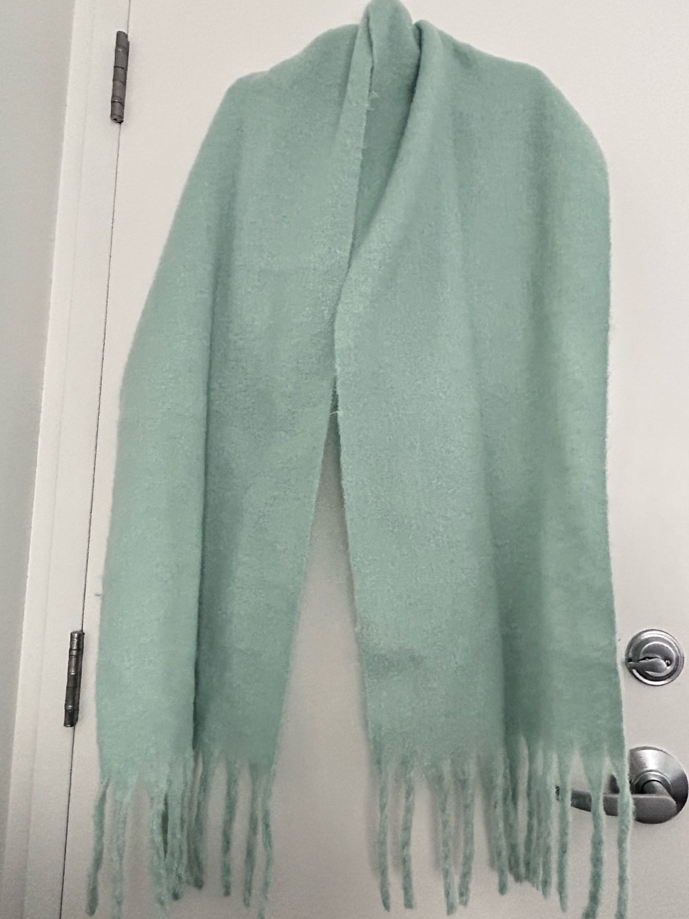 Extra Long Soft Mint Mohair Blend Fringe Scarf